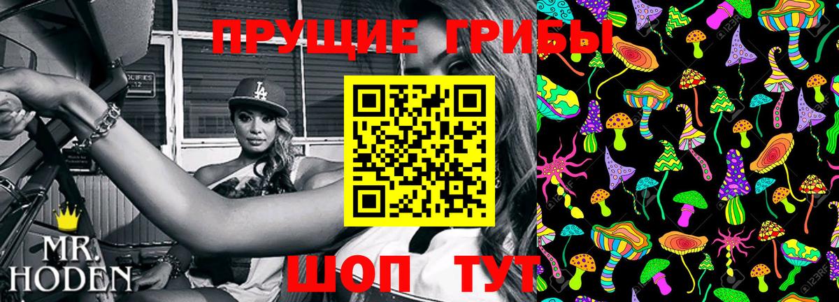 Галлюциногенные грибы GOLDEN TEACHER  Вход с VPN  Тамбов 